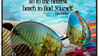 Summer Inspirational Quotes image 390x220 - Summer season Inspirational Quotes picture