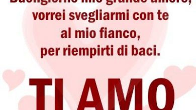 Ti Amo Quando Bevo Ti Amo Immagini 390x220 - Ti Amo Quando Bevo Ti Amo Immagini