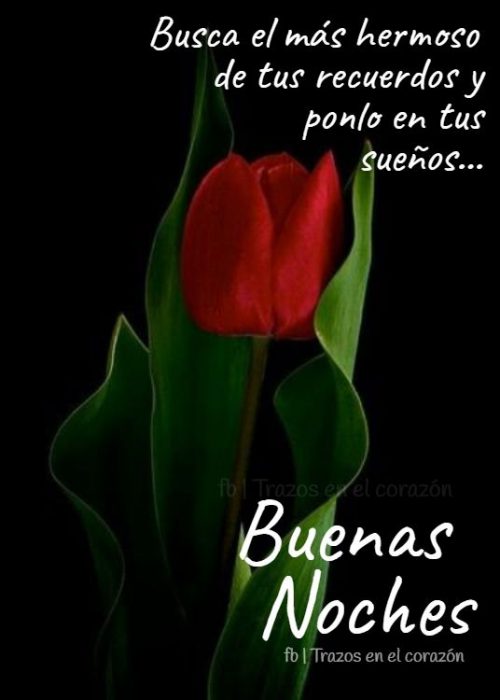 buscar buenas noches imagen