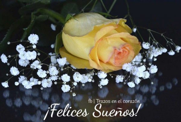 figuras de buenas noches imagen