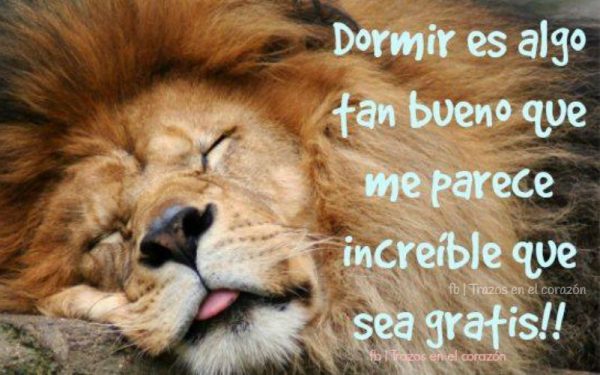 fotos para dar las buenas noches imagen