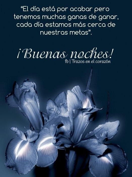 frases buenas noches de amor imagen