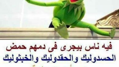 كيرمت الضفدع