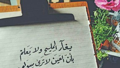 مكتوب عليها صور عليها حكم