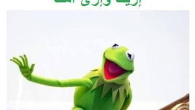 مضحكة