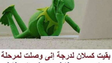 فيس بوك