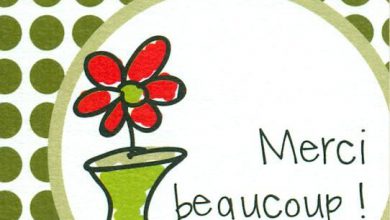 carte de remerciement gratuite pour anniversaire merci image