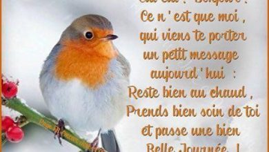 image bonjour et bonne journee image