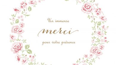 image merci beaucoup merci image