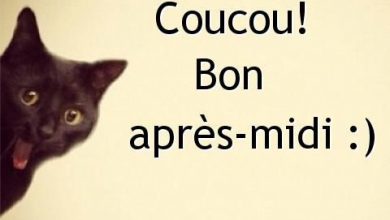 message de bonjour image